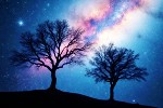 From Everlasting To Everlasting